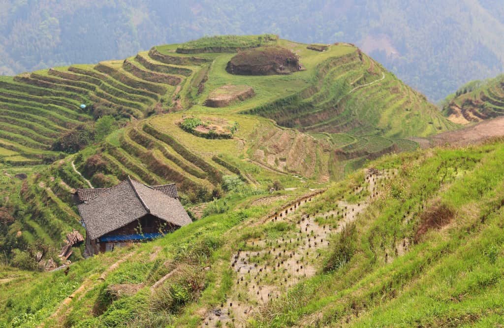 Longji Rice Terraces Guilin