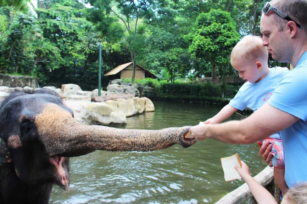 Singapore Zoo with kids