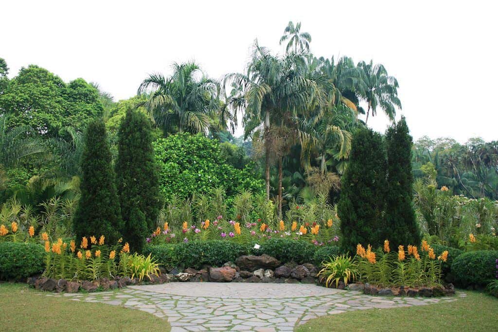 Botanic gardens Singapore for kids