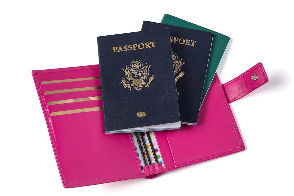 Up & Away Multiple Passport Holder