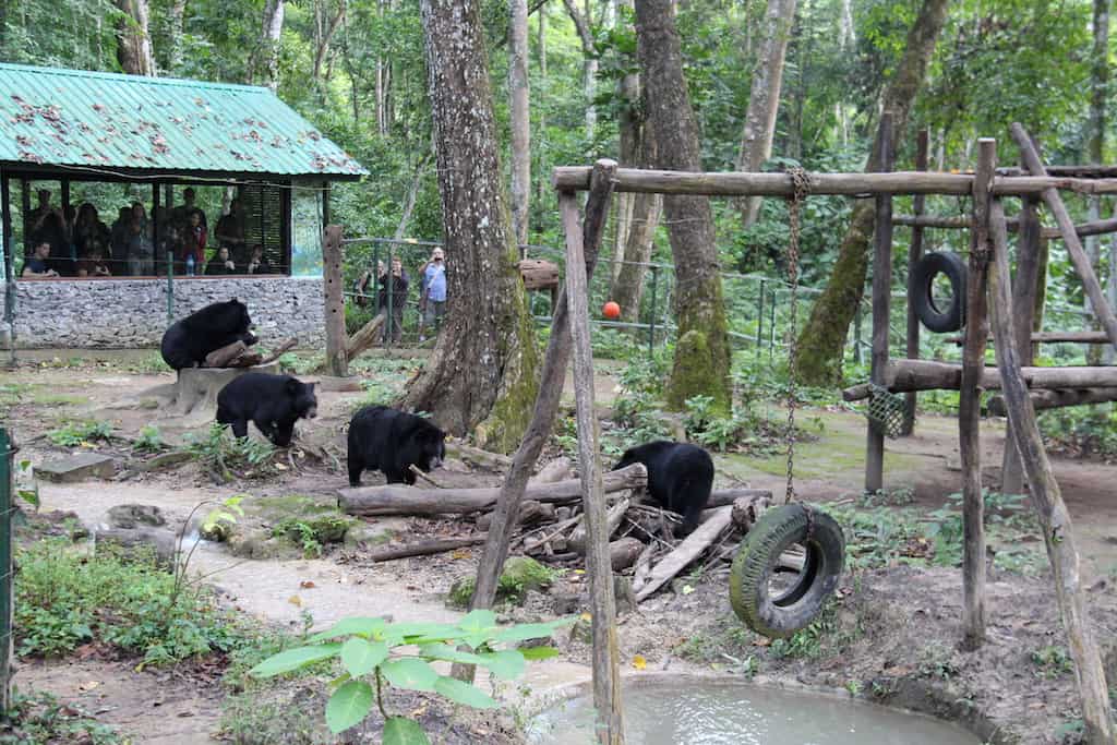 Kuang Si Bear Rescue Centre