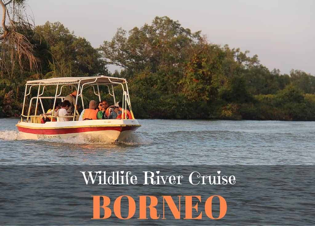 Wildlife River Cruise Borneo