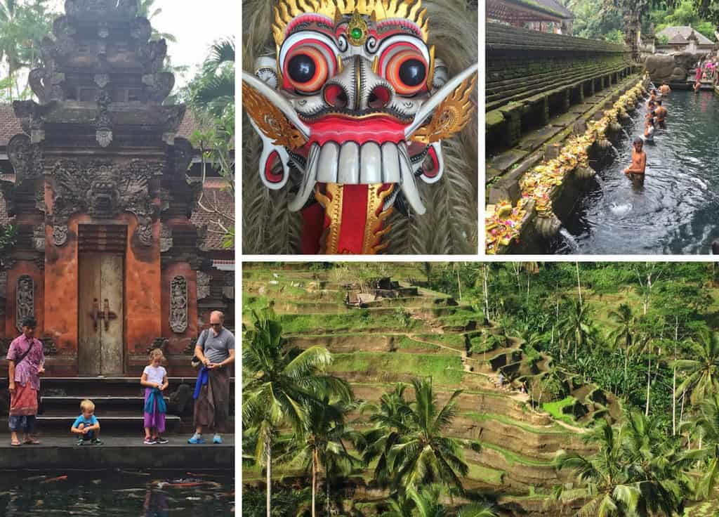 Things to do in ubud with Kids