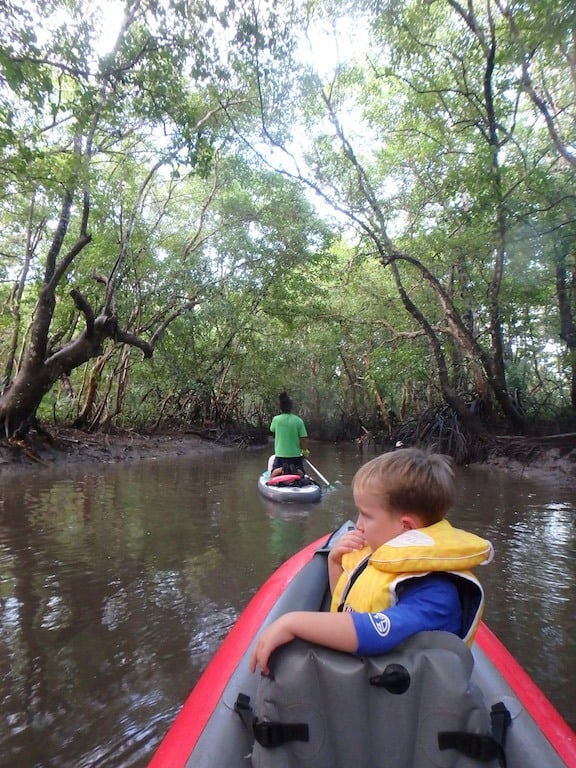 Mangrove Kayaking Bohol