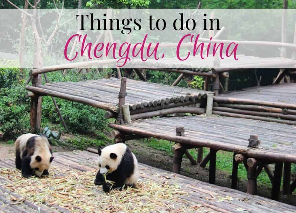 Things To do in Chengdu with kids