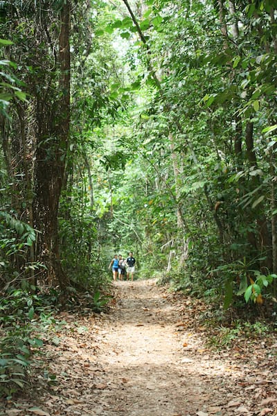 Bukit Timah National Park