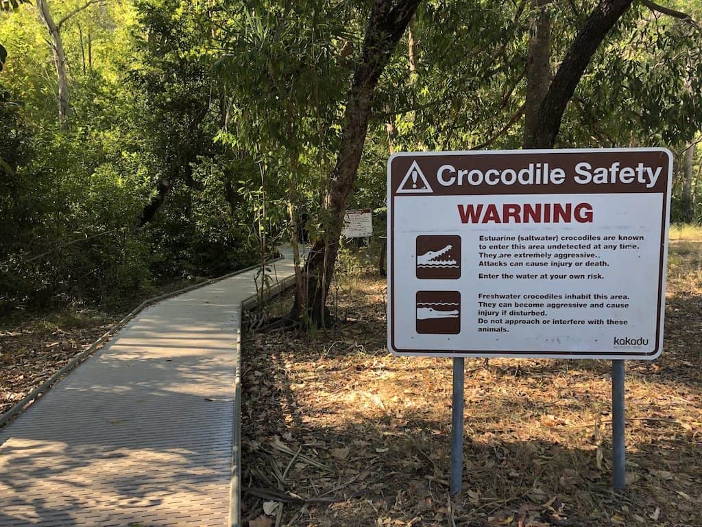 Kakadu crocodiles