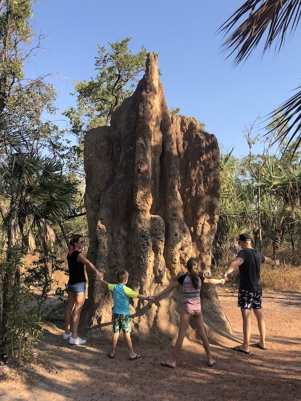 Termite Mounds Litchfield National Park