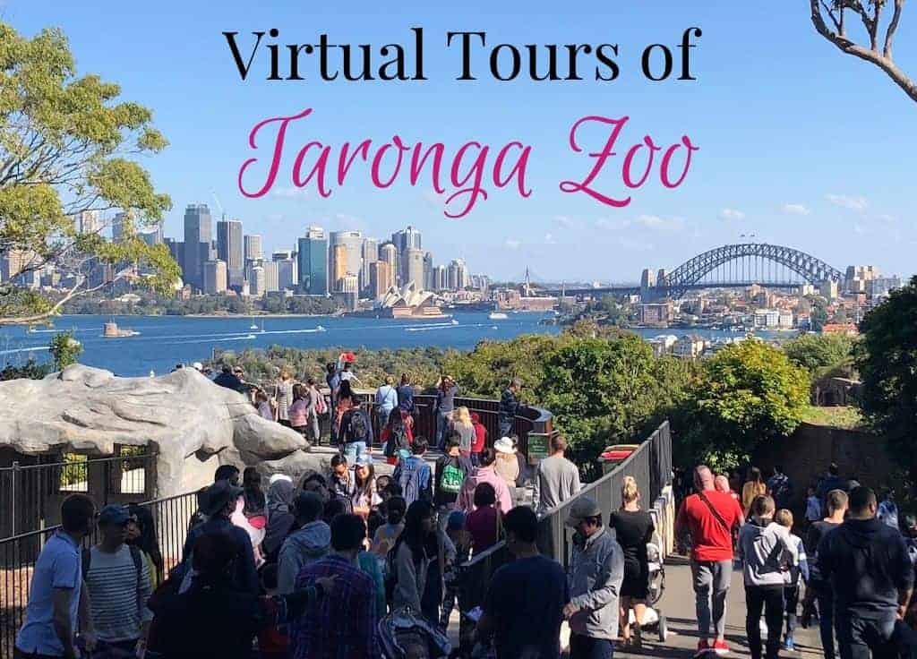 Taronga Zoo virtual tours