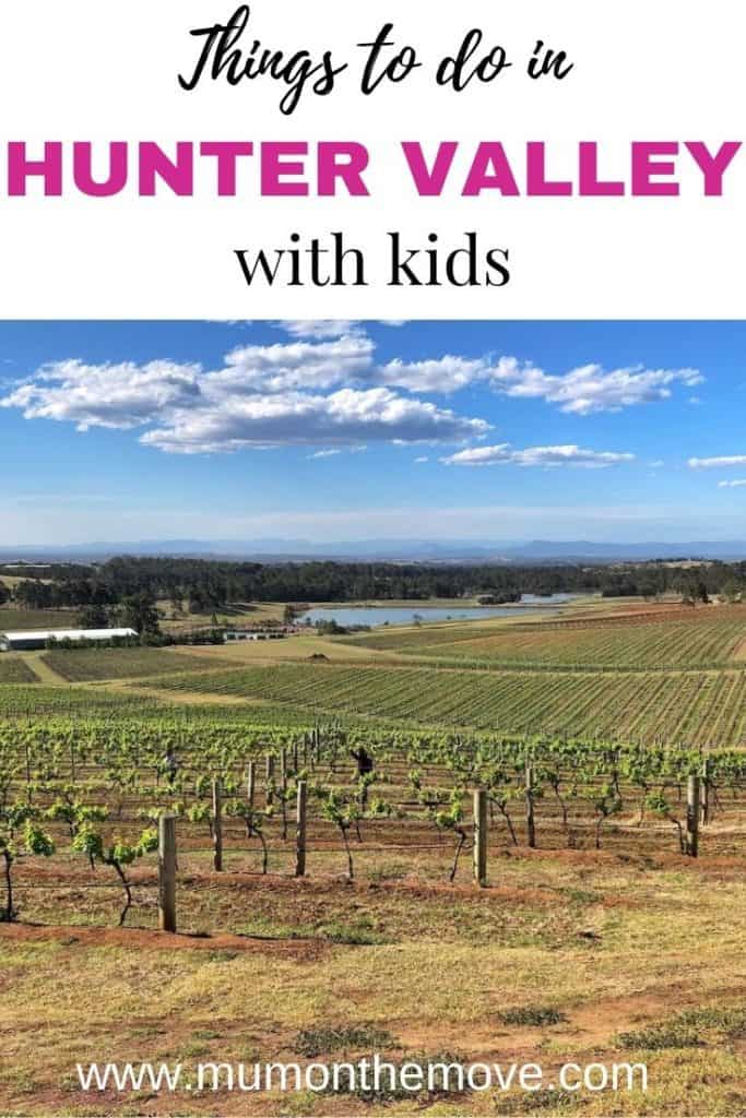 Hunter Valley with Kids Pinterest pin