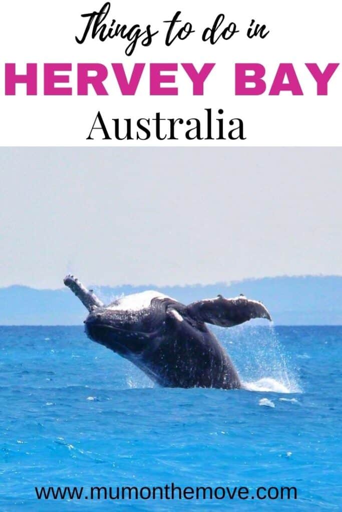 Things to do in Hervey Bay Pinterest pin
