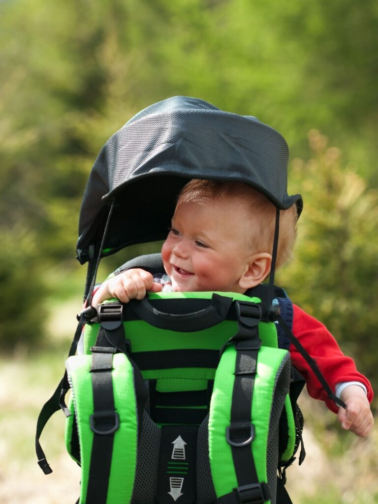 Toddler in hiking carrier