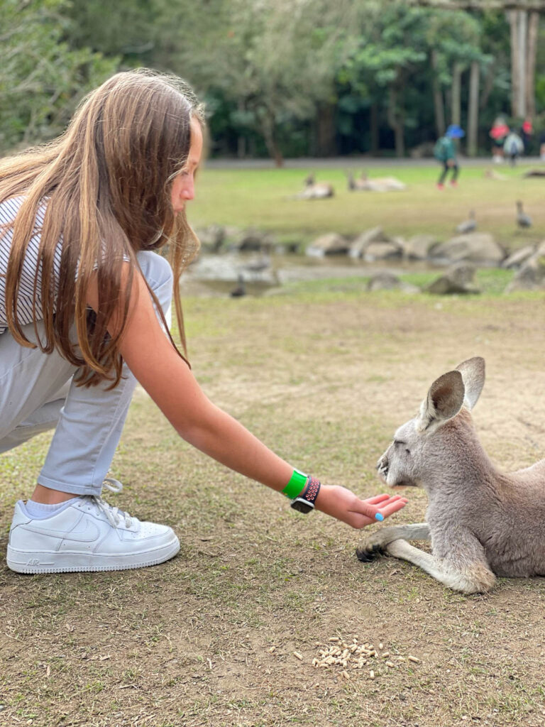 Girl feeding kangaroo at Currumbin Wildlife Sanctuary