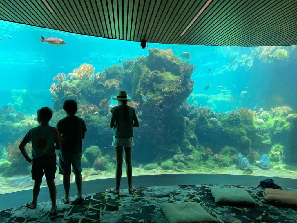 Daydream Island Living reef underwater observatory.