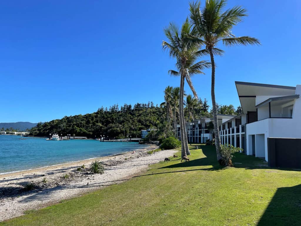 Daydream Island Whitsundays rooms with ocean view and palm trees