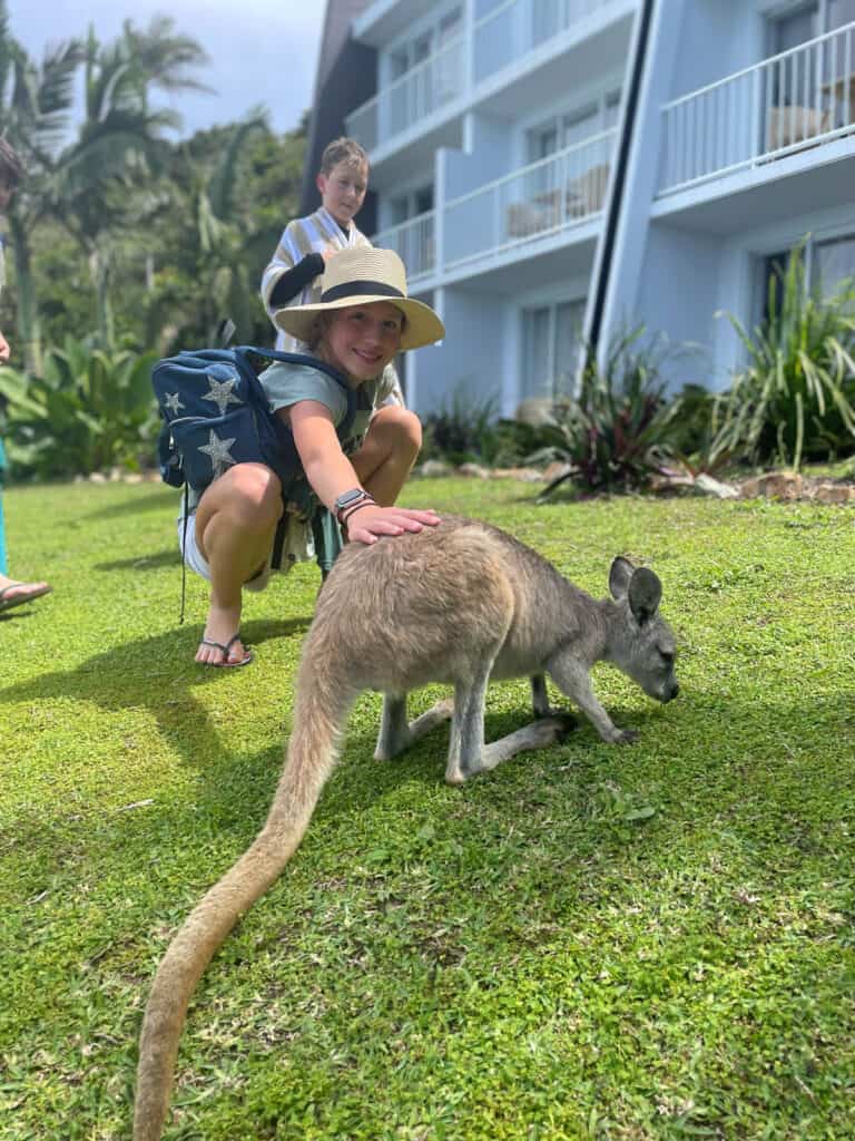 Girl with wallaby at Daydream Island resort