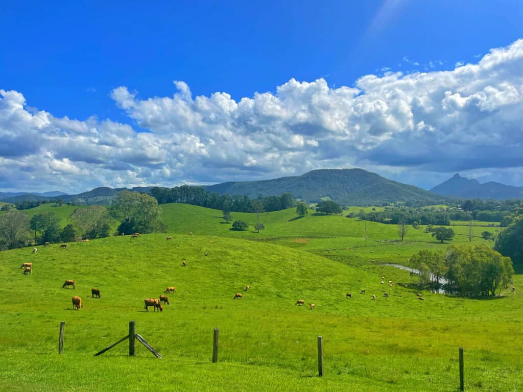 Rural scene of the hills and valleys in the Tweed. 