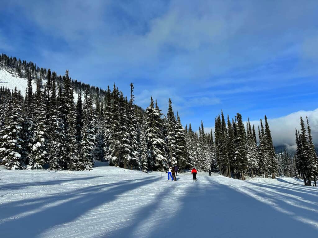 People skiing in alpine terrain Whistler.