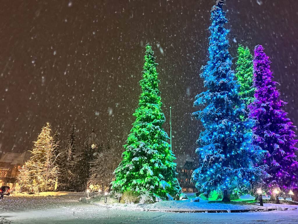 Christmas trees in Whistler village.