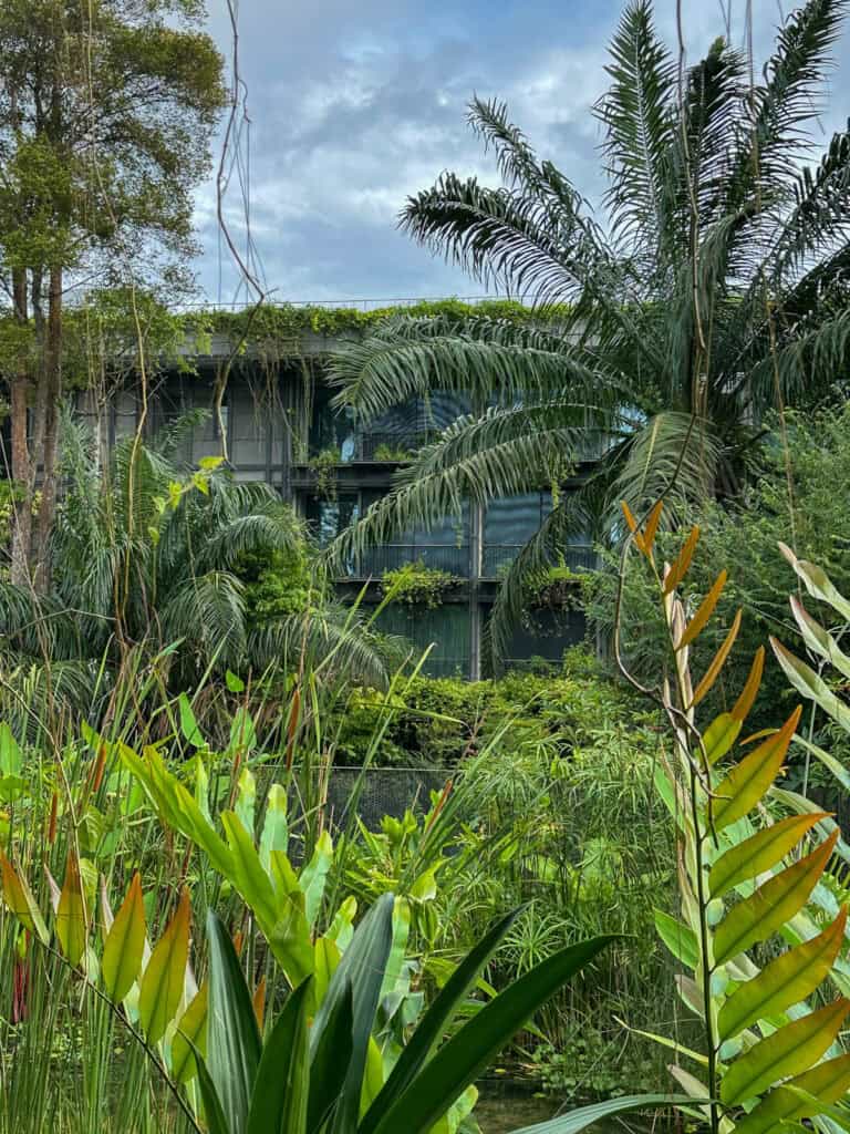 Mandai Rainforest Resort.
