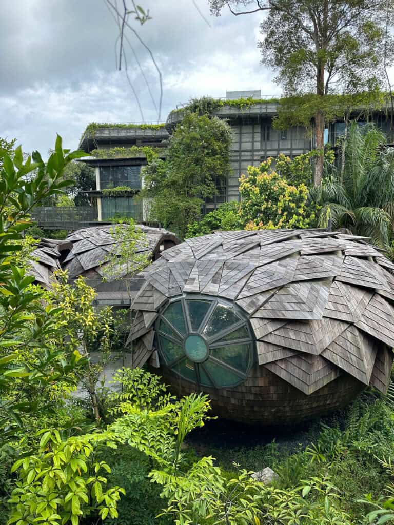 Spa pods at Mandai Rainforest Resort.