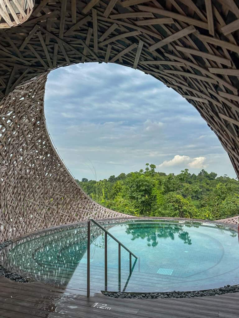 Swimming pool at Mandai Rainforest Resort.