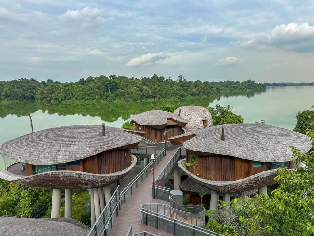 Treehouses at Mandai Rainforest Resort.