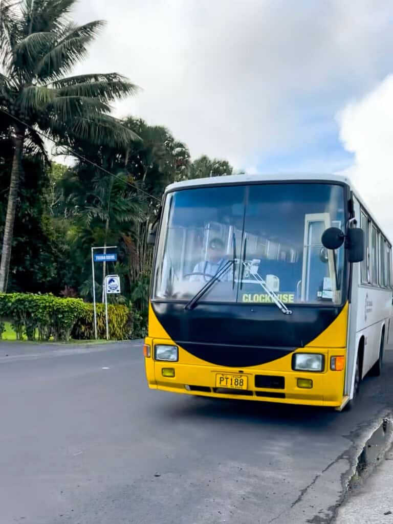 Rarotonga bus.