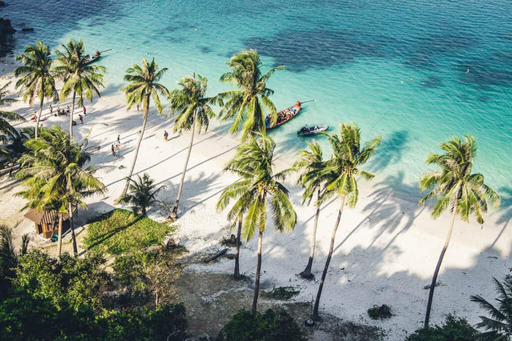Tropical beach with blue sea and palm trees.