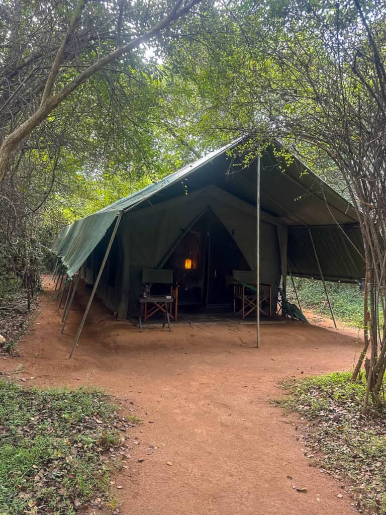 Glamping tent in Sri Lanka.