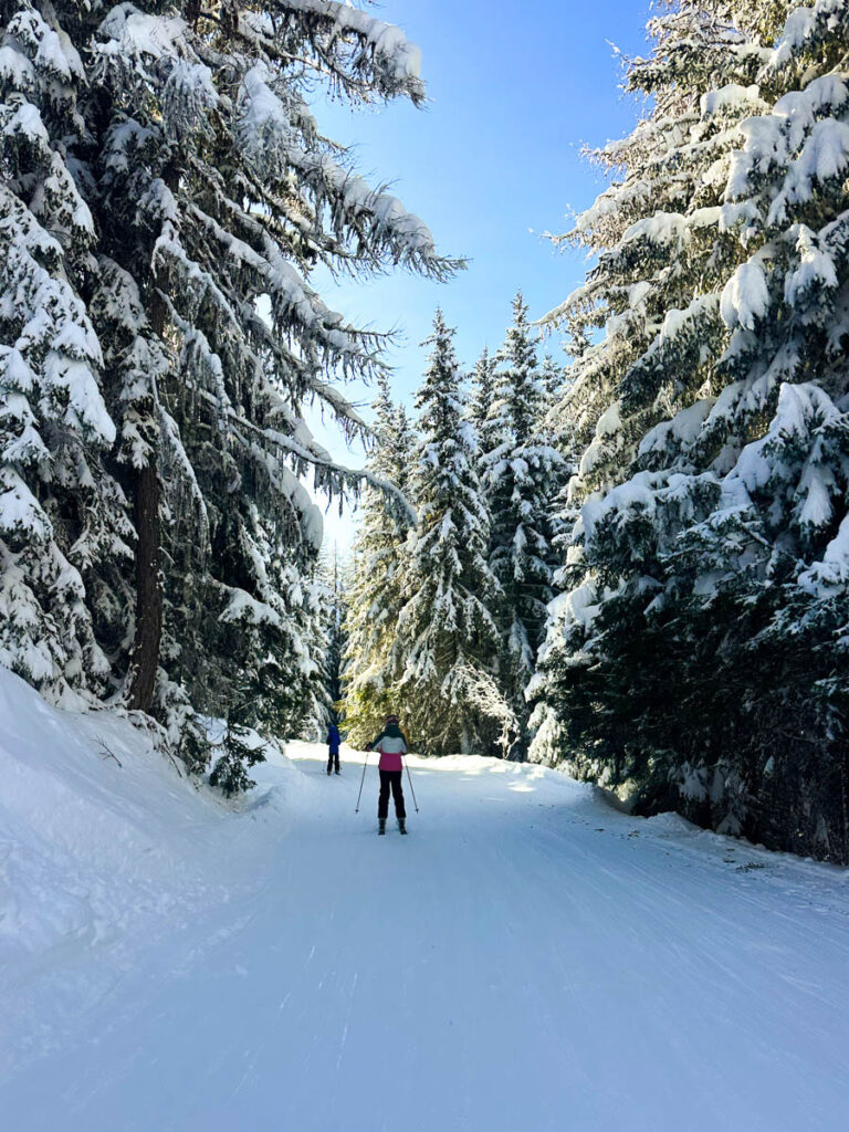 Skiers on treelined slope in Les Arcs, France.