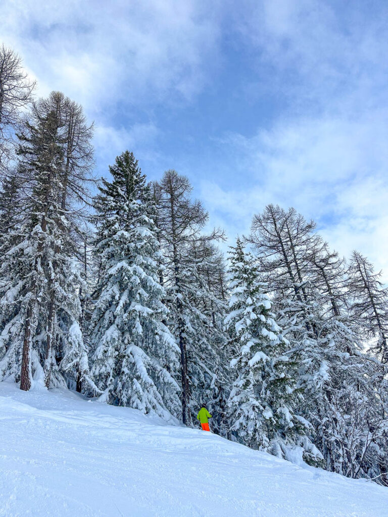 Skiier in the trees in Les Arcs, France.